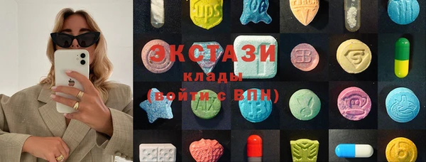 индика Гусь-Хрустальный