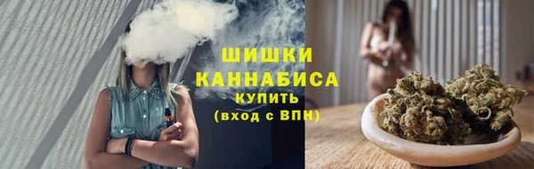 индика Гусь-Хрустальный