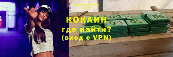 индика Гусь-Хрустальный