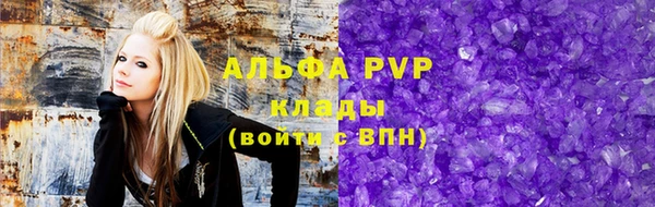 индика Гусь-Хрустальный