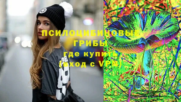 соль курить ск Дмитриев