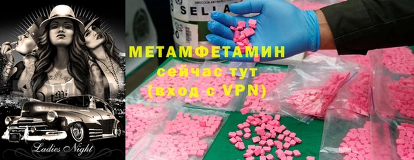 индика Гусь-Хрустальный