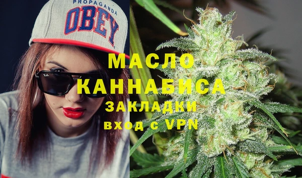 индика Гусь-Хрустальный