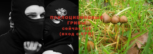 мескалин Дмитровск